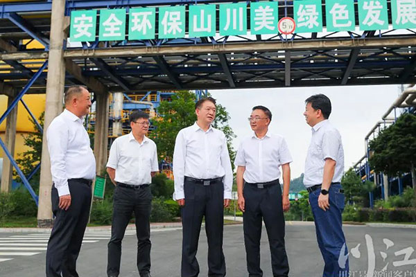 杨林兴:把新型工业化摆在更加突出的位置,让“四化同步”发展的主引擎作用更加凸显